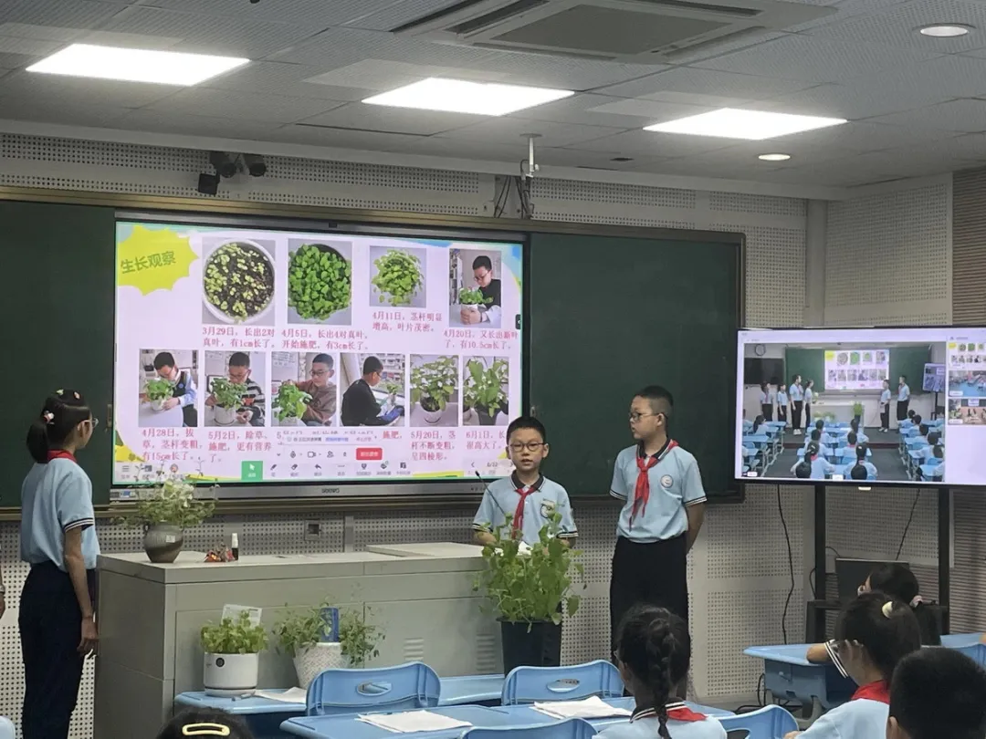 三校云端联动!伯索融课构筑跨校高效互动“数字桥梁”配图